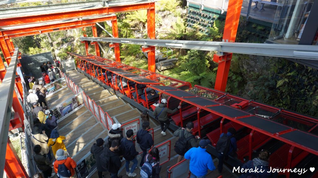 藍山國家公園 Railway